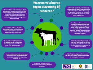 Blauwtong | De stand van zaken