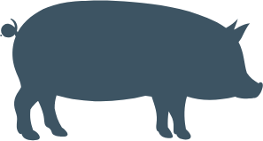 Icoon varken – varkens afdeling adVee Dierenartsen