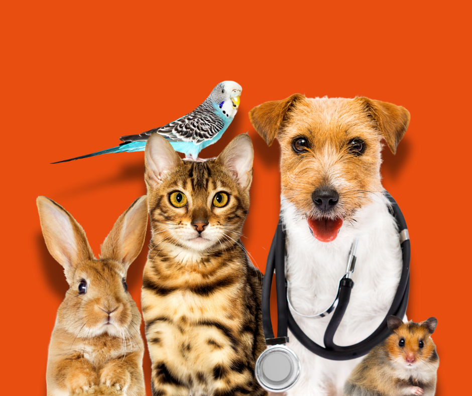 Aadal Dierenkliniek banner met huisdieren