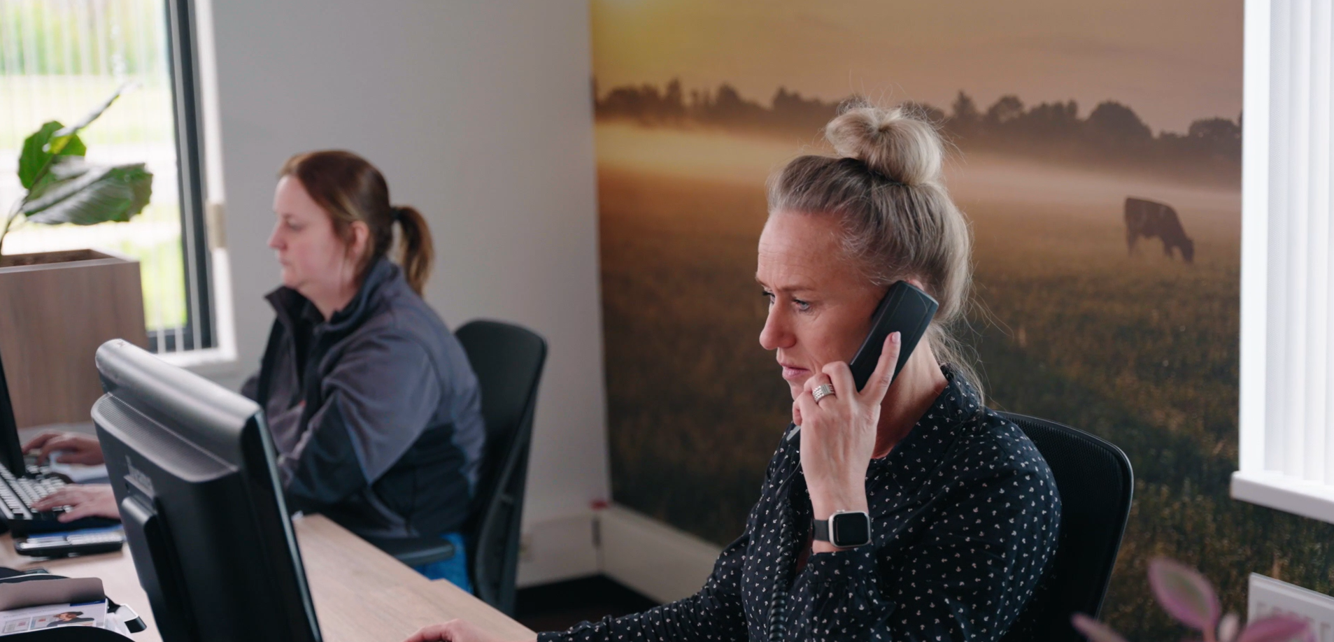 Backoffice medewerkers van adVee Dierenartsen aan het werk op kantoor