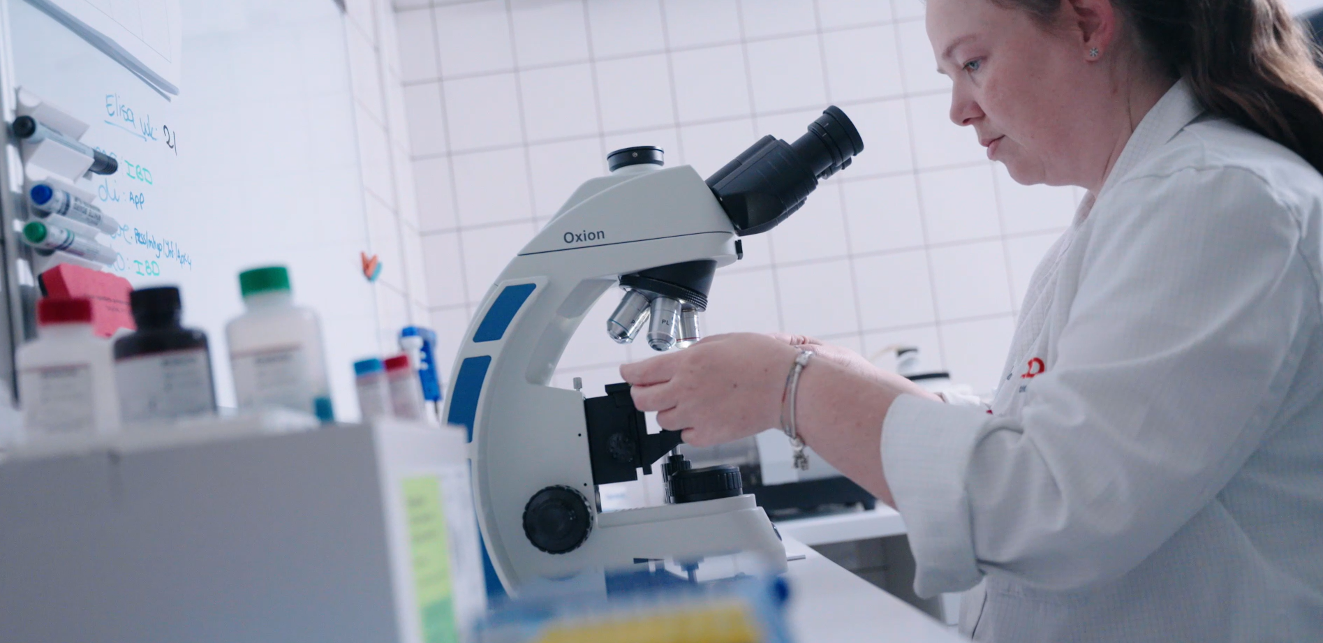 Microscoop voor laboratoriumonderzoek bij adVee Dierenartsen