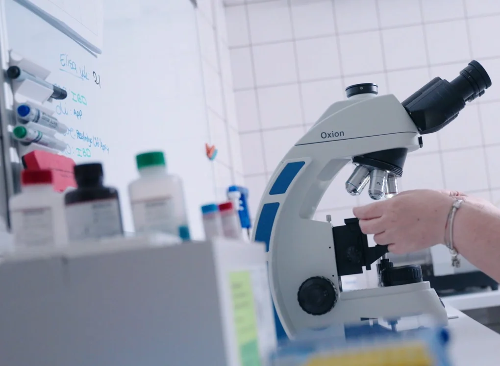 Microscoop voor laboratoriumonderzoek bij adVee Dierenartsen