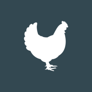 Newcastle Disease (NCD) dreiging | paniek of alertheid?